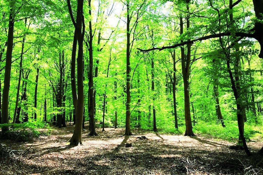 Ostsee-Ferienwohnung Uhlnuest Graal-Mueritz Gelbensande ภายนอก รูปภาพ