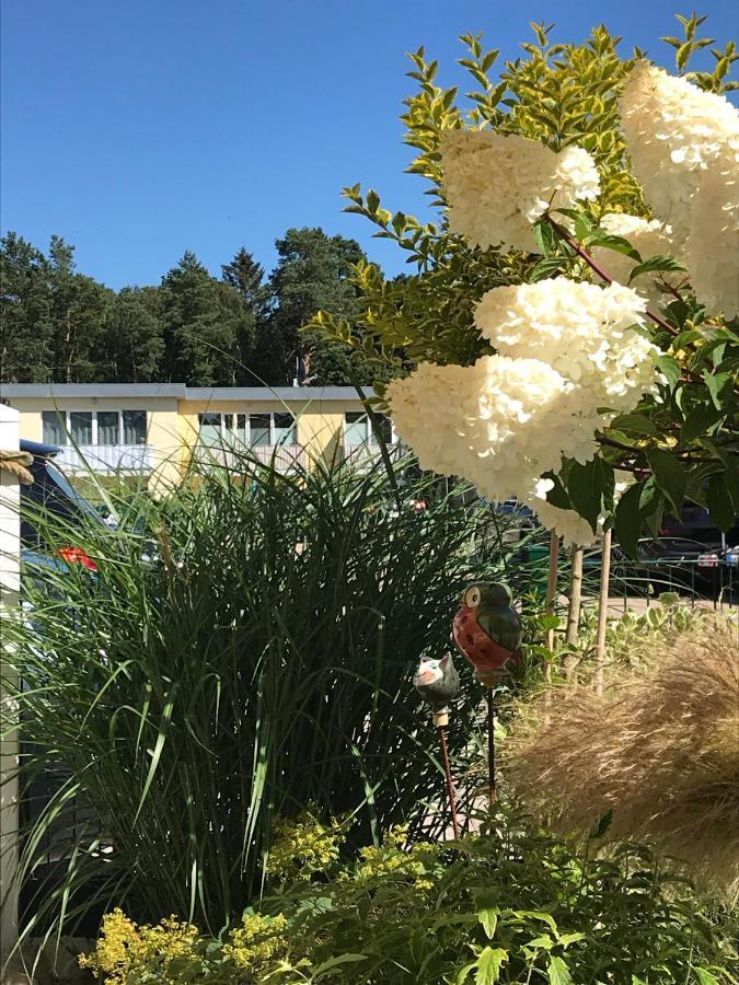 Ostsee-Ferienwohnung Uhlnuest Graal-Mueritz Gelbensande ภายนอก รูปภาพ